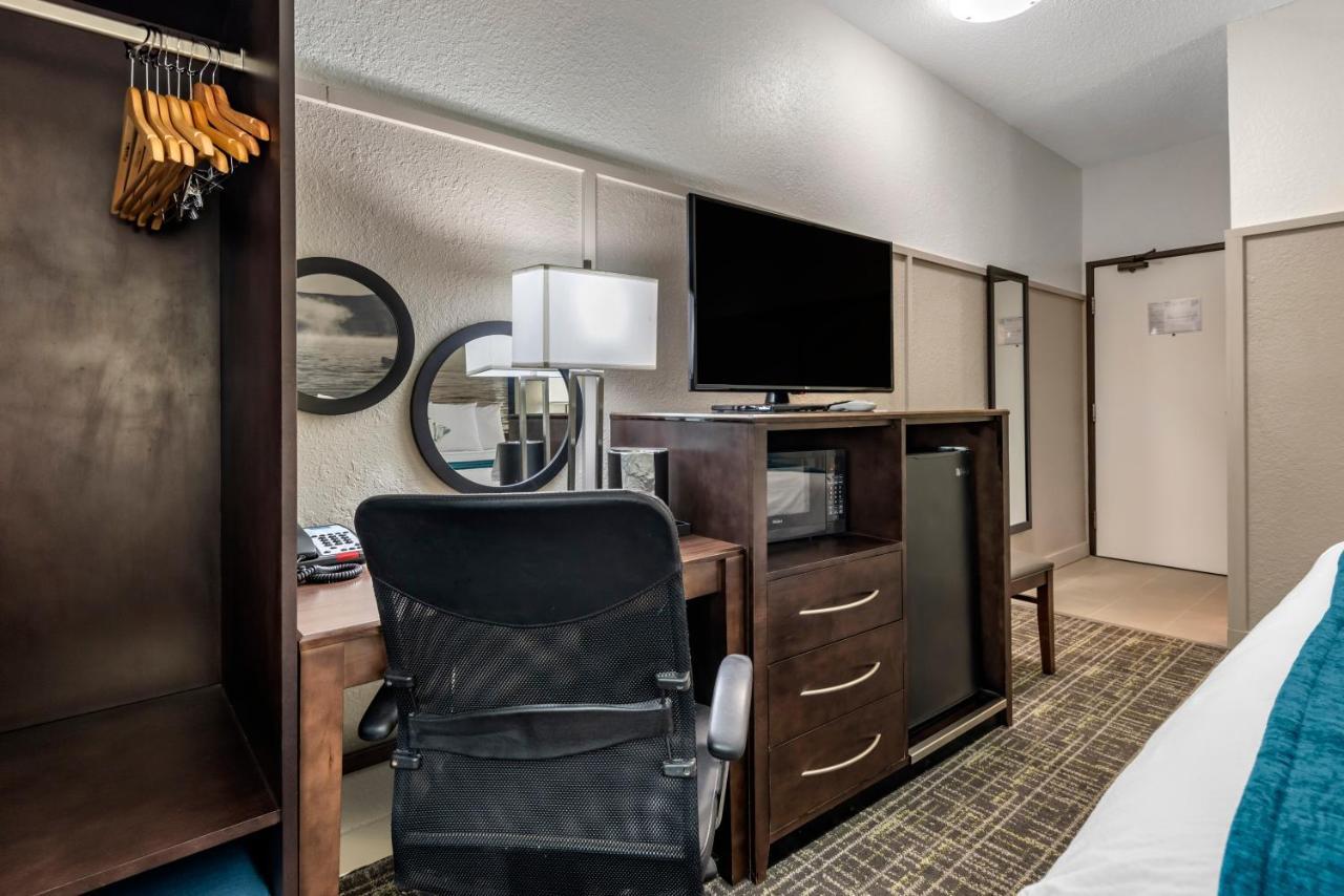 King Room - Non-Smoking,1008843229:JPEG