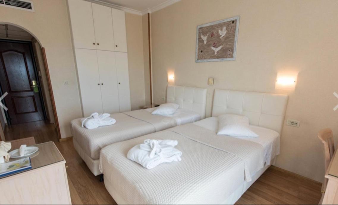 Double or Twin Room
