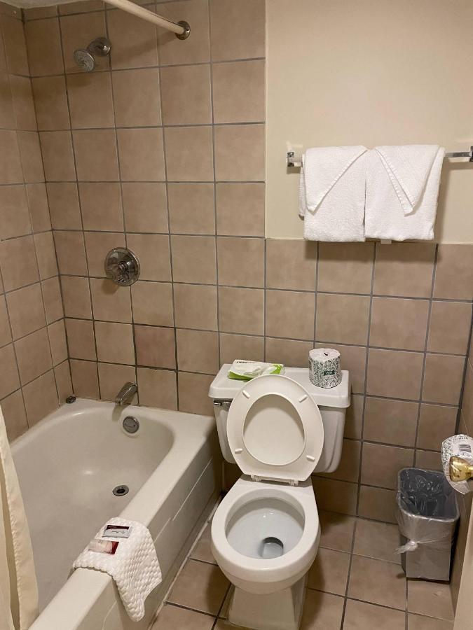 Standard Room with Two Double Beds - Non-Smoking - Pet Friendly,1074647602:JPEG