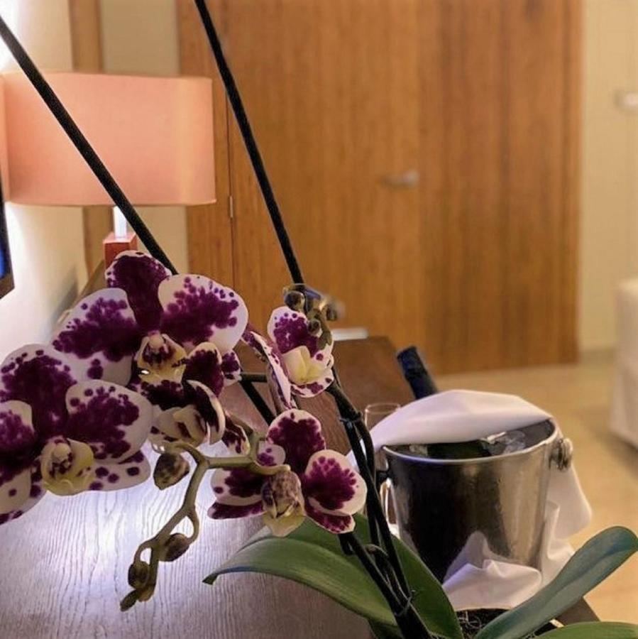Suite Júnior King Allure com Vista Tropical