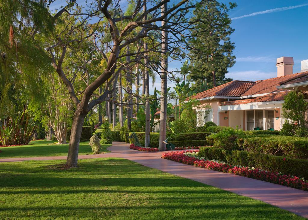 Bungalow Suite