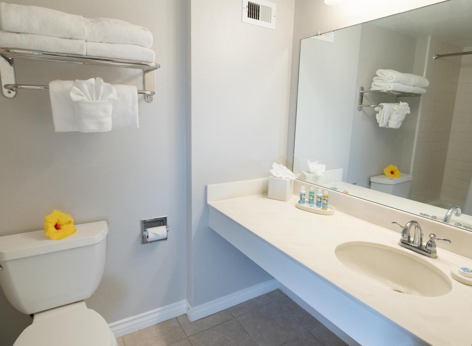 Lagoon Tower Renovation Rate Ocean View Room,1214013952:JPEG