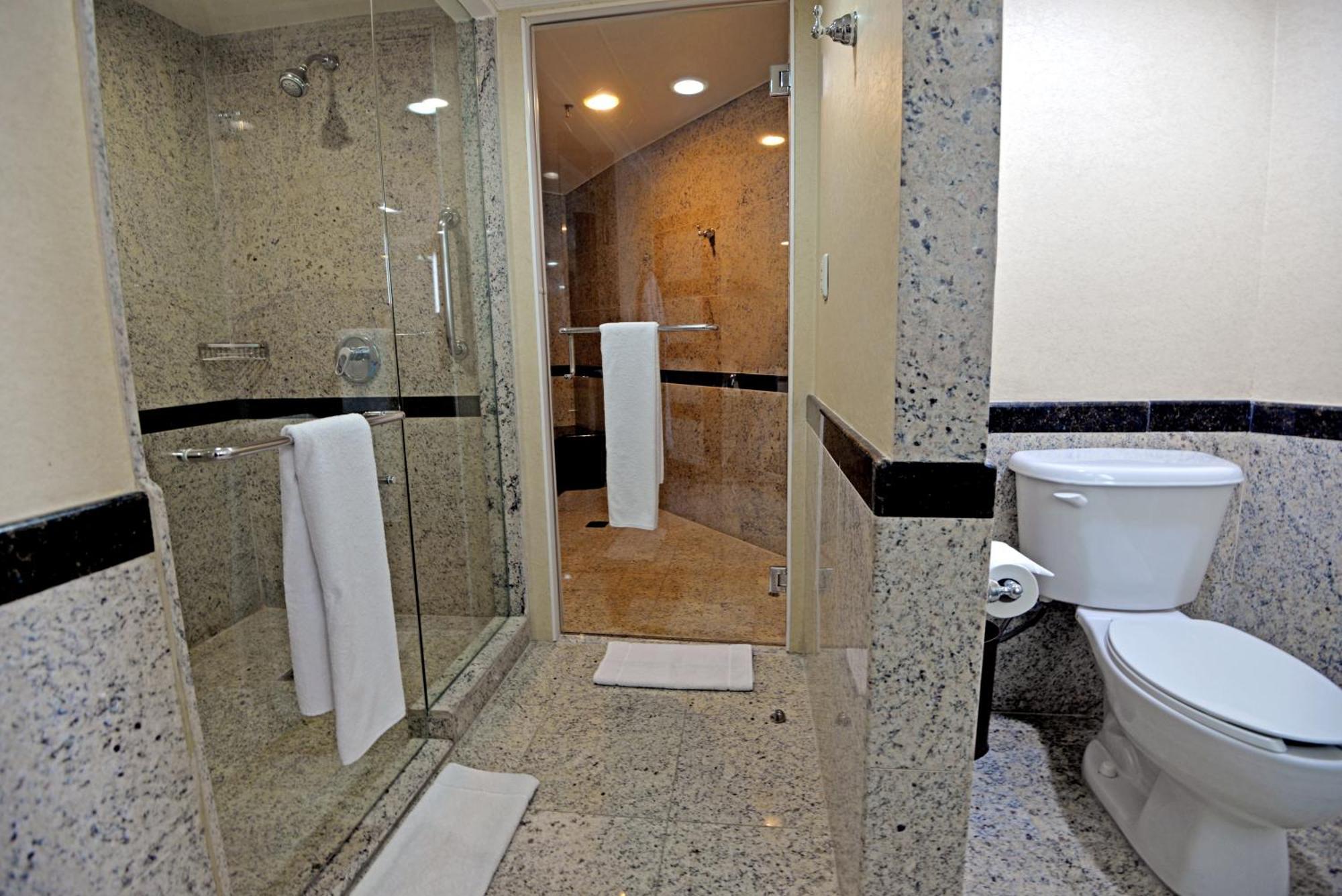 Executive lounge access 1 Bedroom Presidential Suite