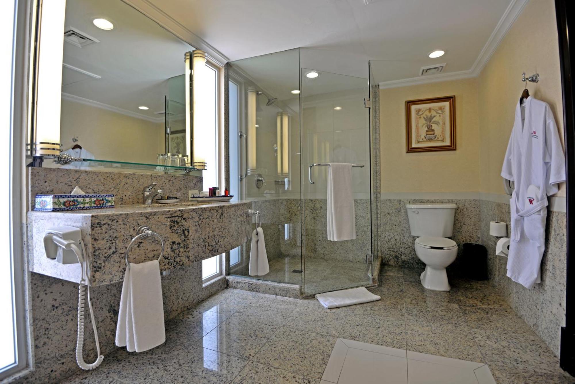 Executive King or Double Room