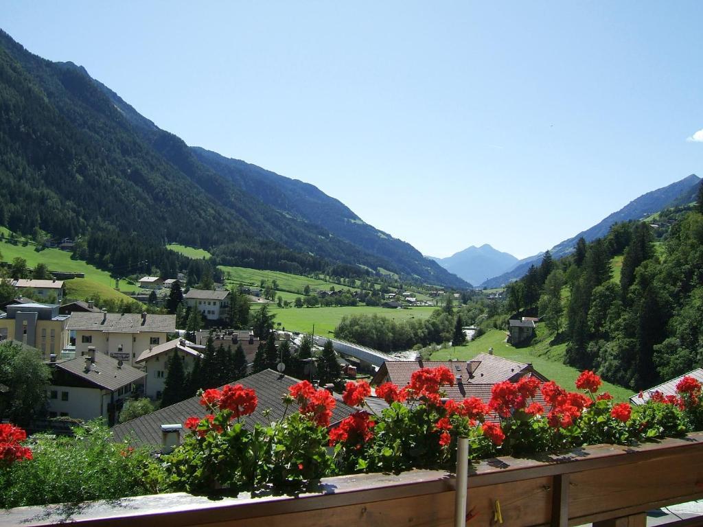 Apartment with Mountain View,33448591:JPEG