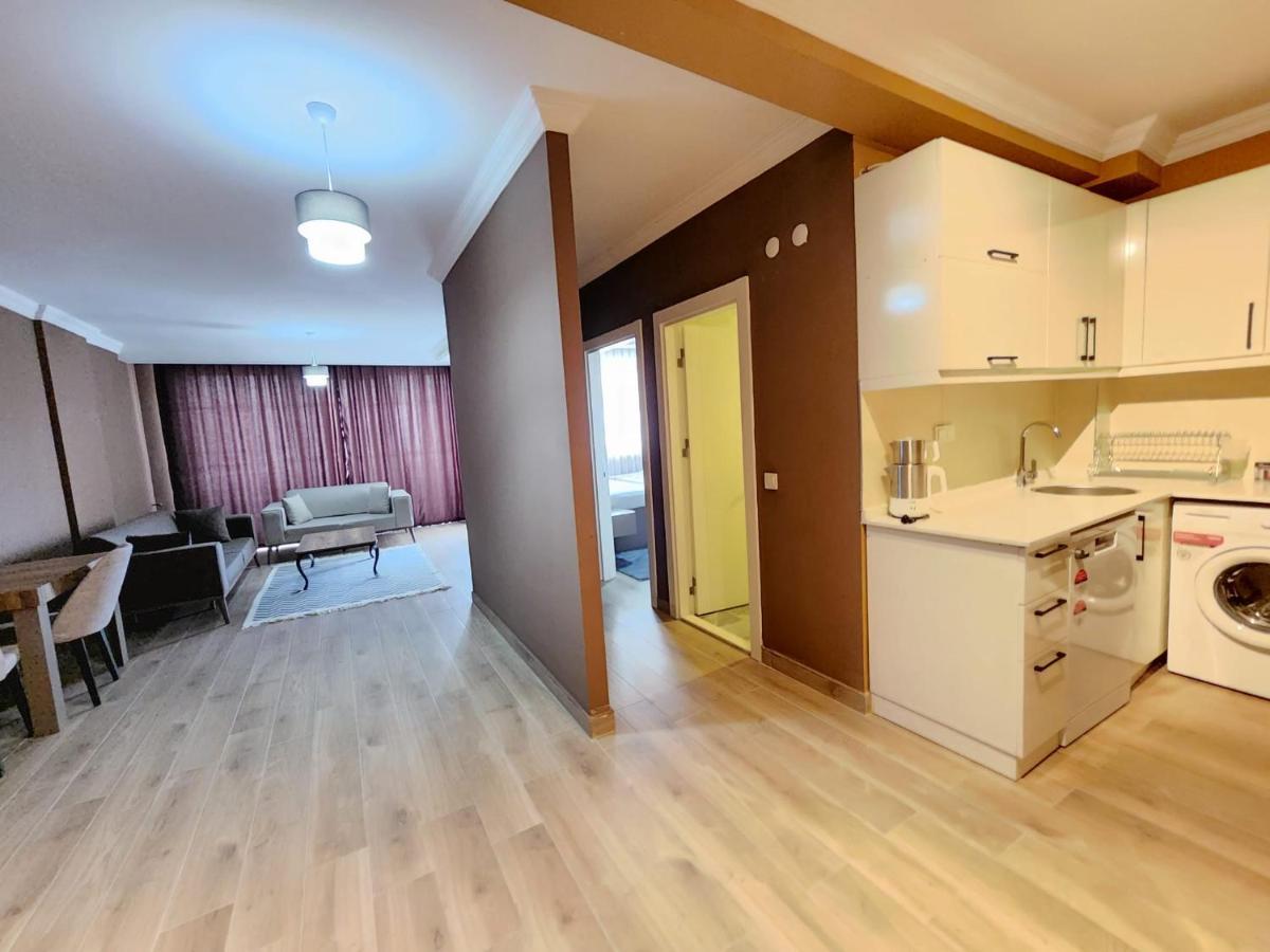 Junior Suite Mountain View