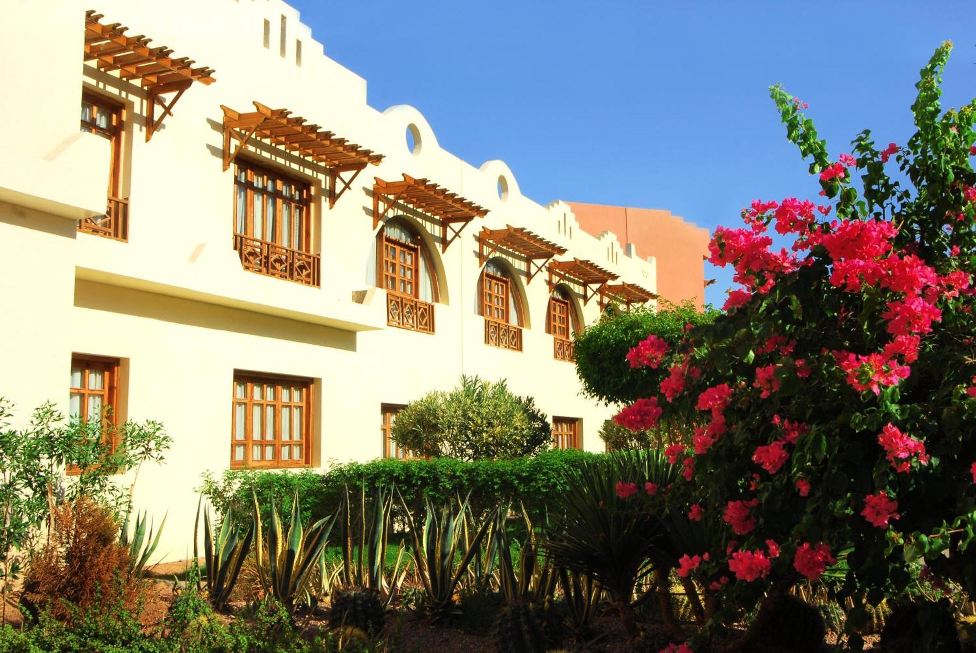 Standard Double Room Garden or Mountain View Egyptians only,1596021673:JPEG