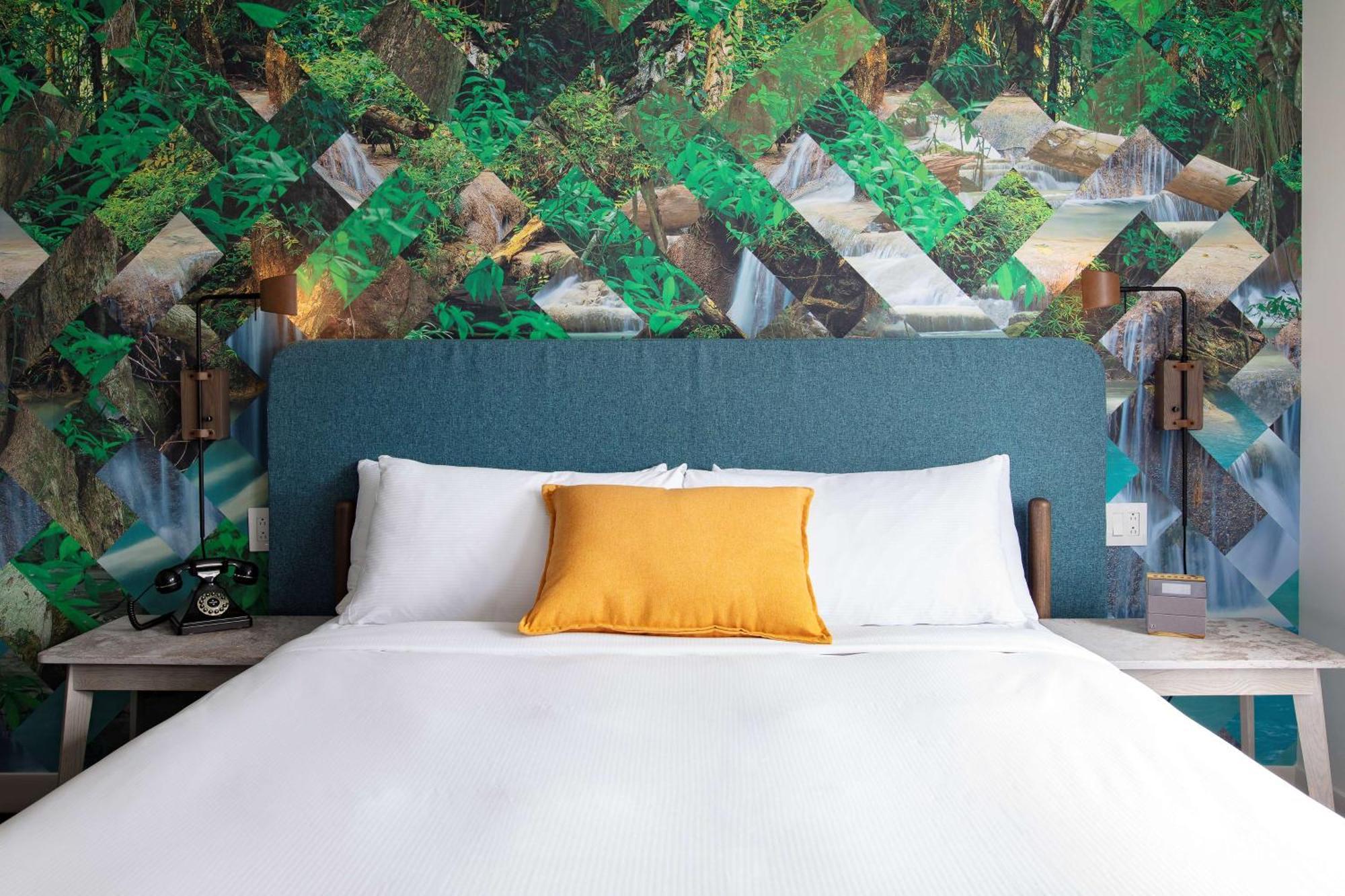 King Room,1551460252:JPEG