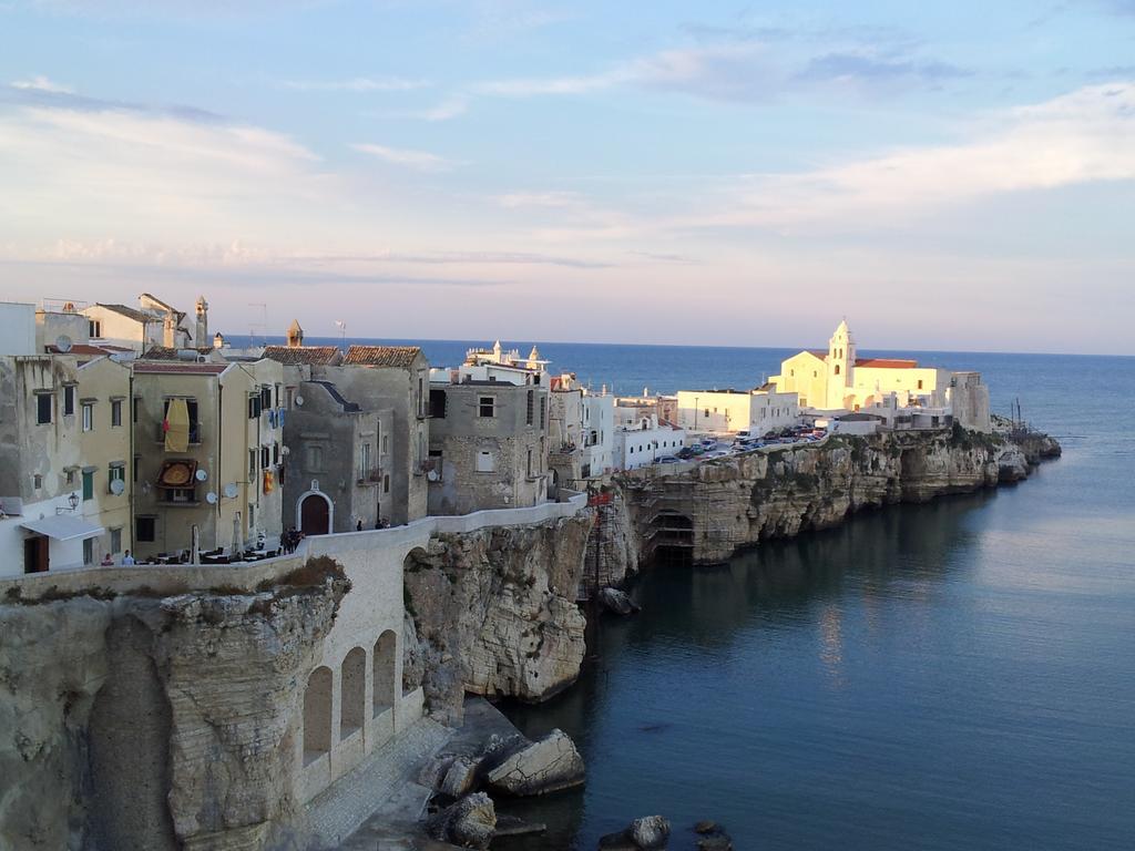 Two-Bedroom Apartment with Patio (4 Adults),157784667:JPEG
