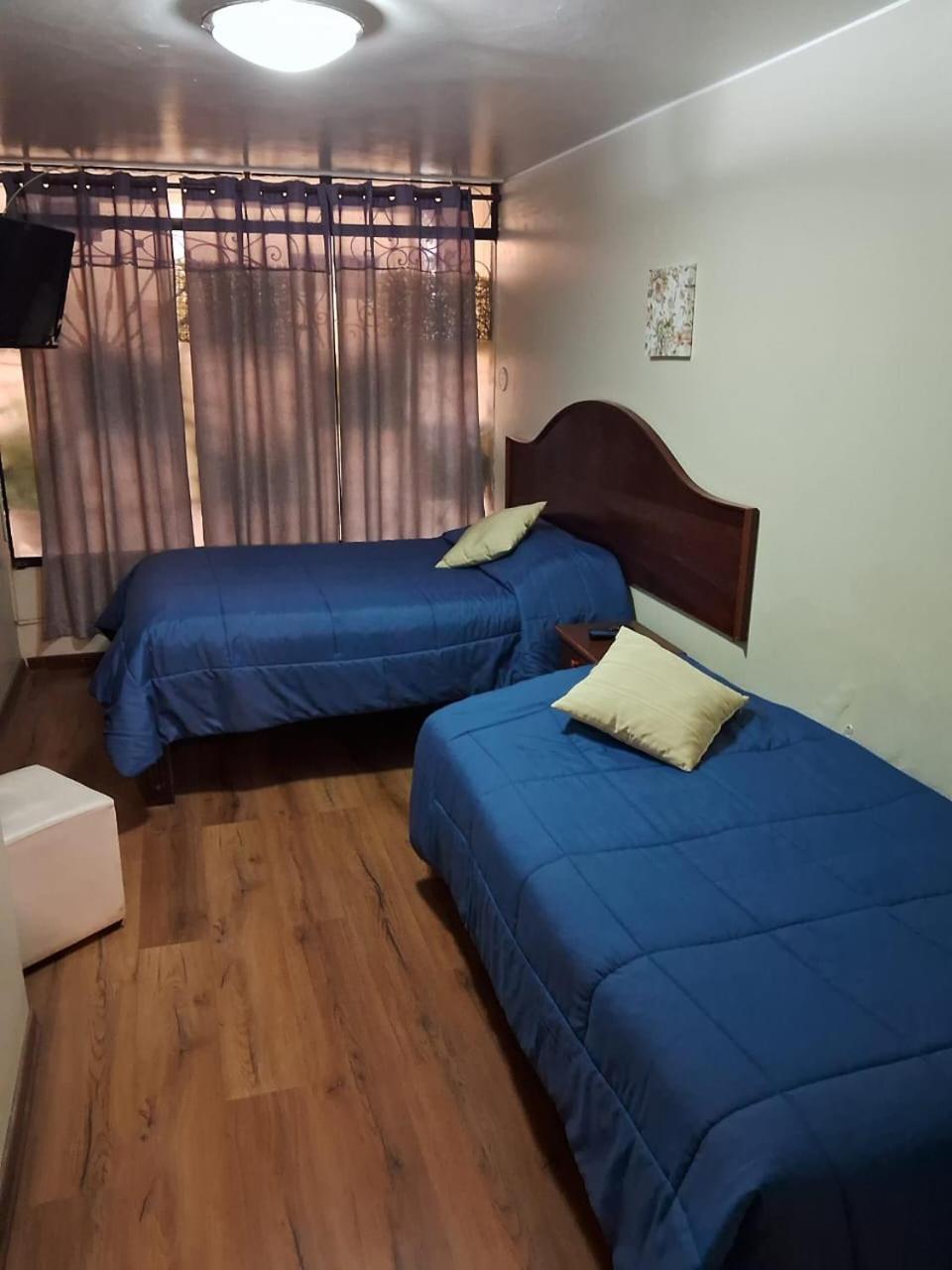 Budget Triple Room,1697325316:JPEG