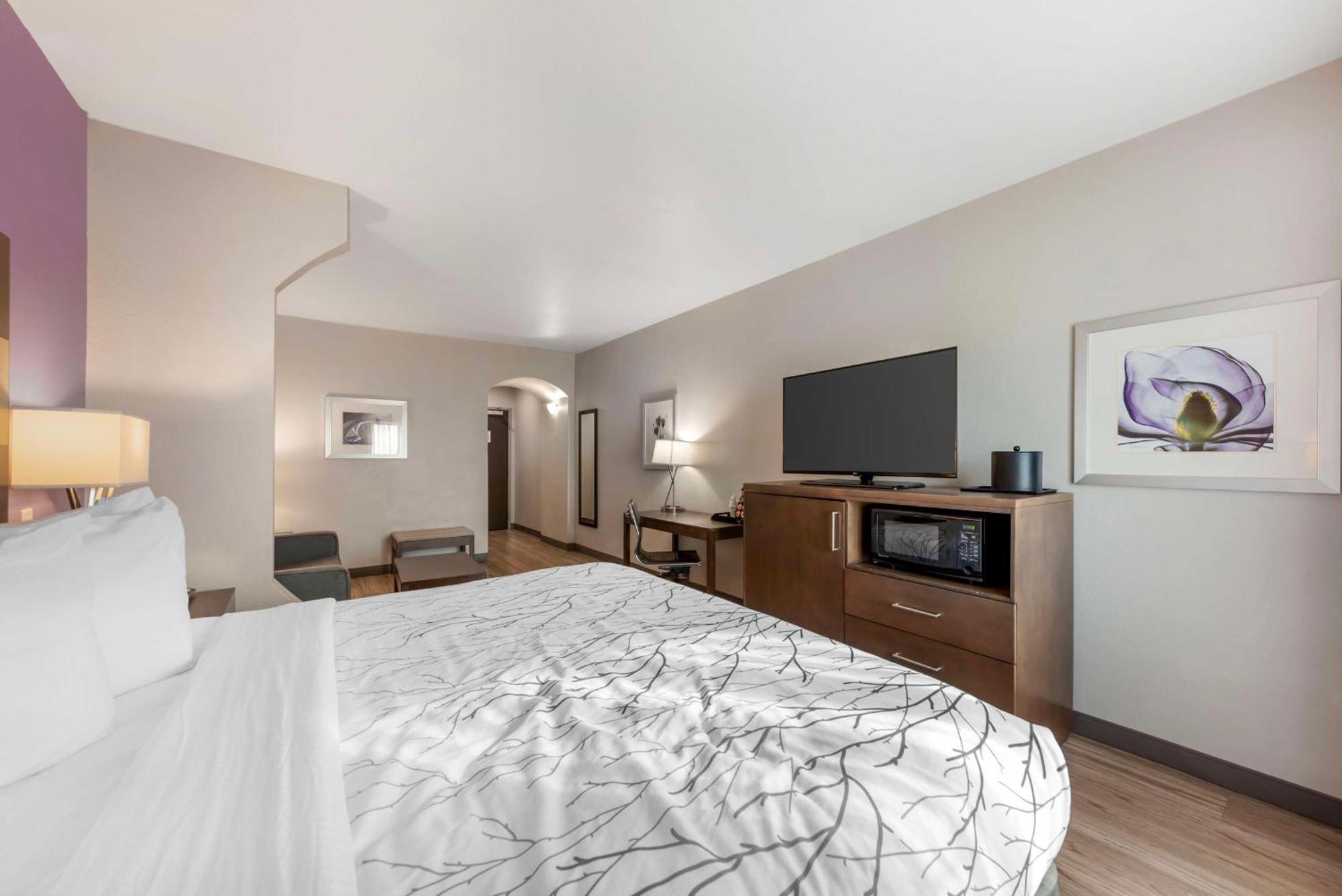 King Suite with Sofa Bed and Shower