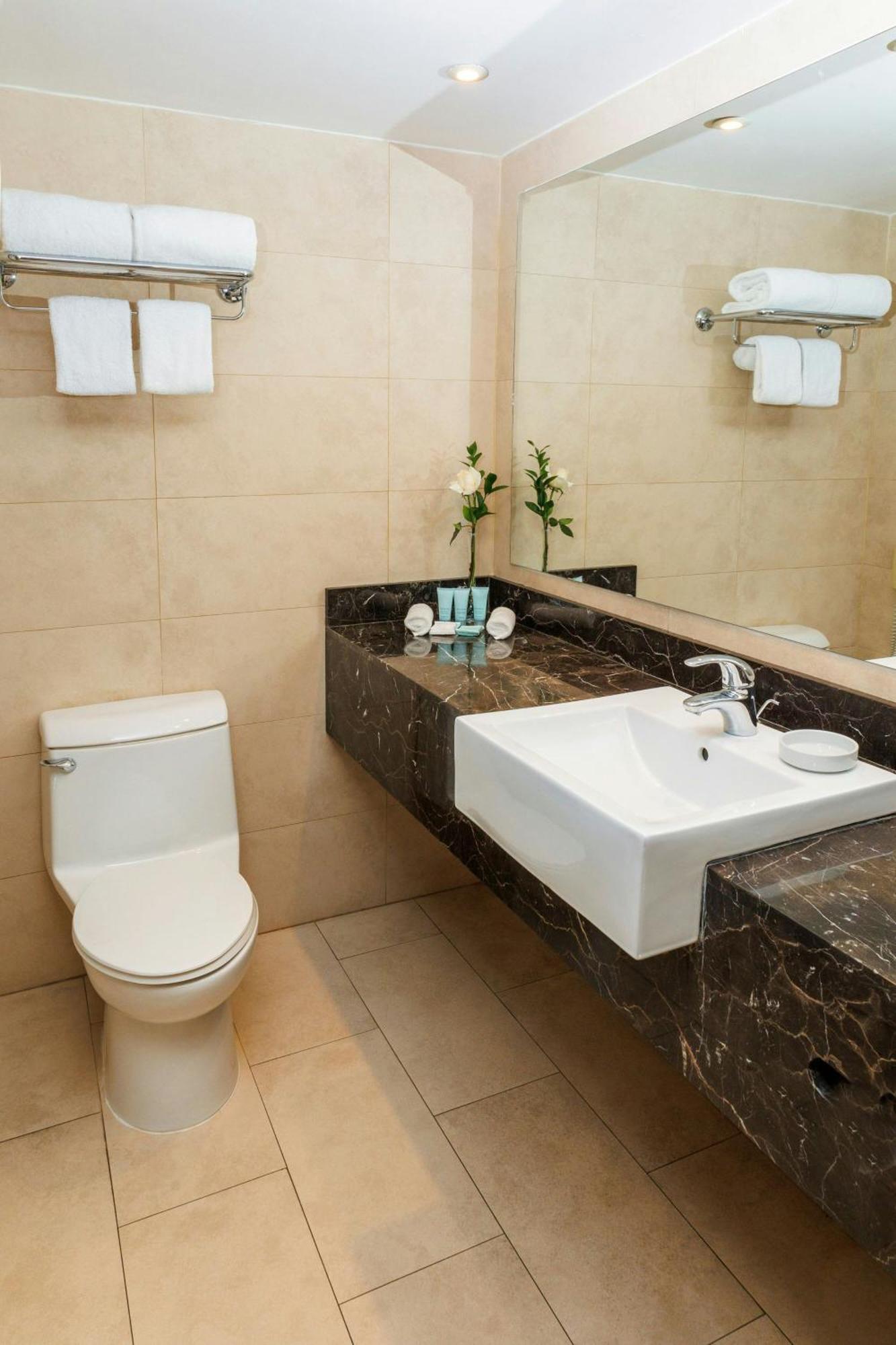 Suíte de 1 Quarto com Cama King-size e Vista da Cidade