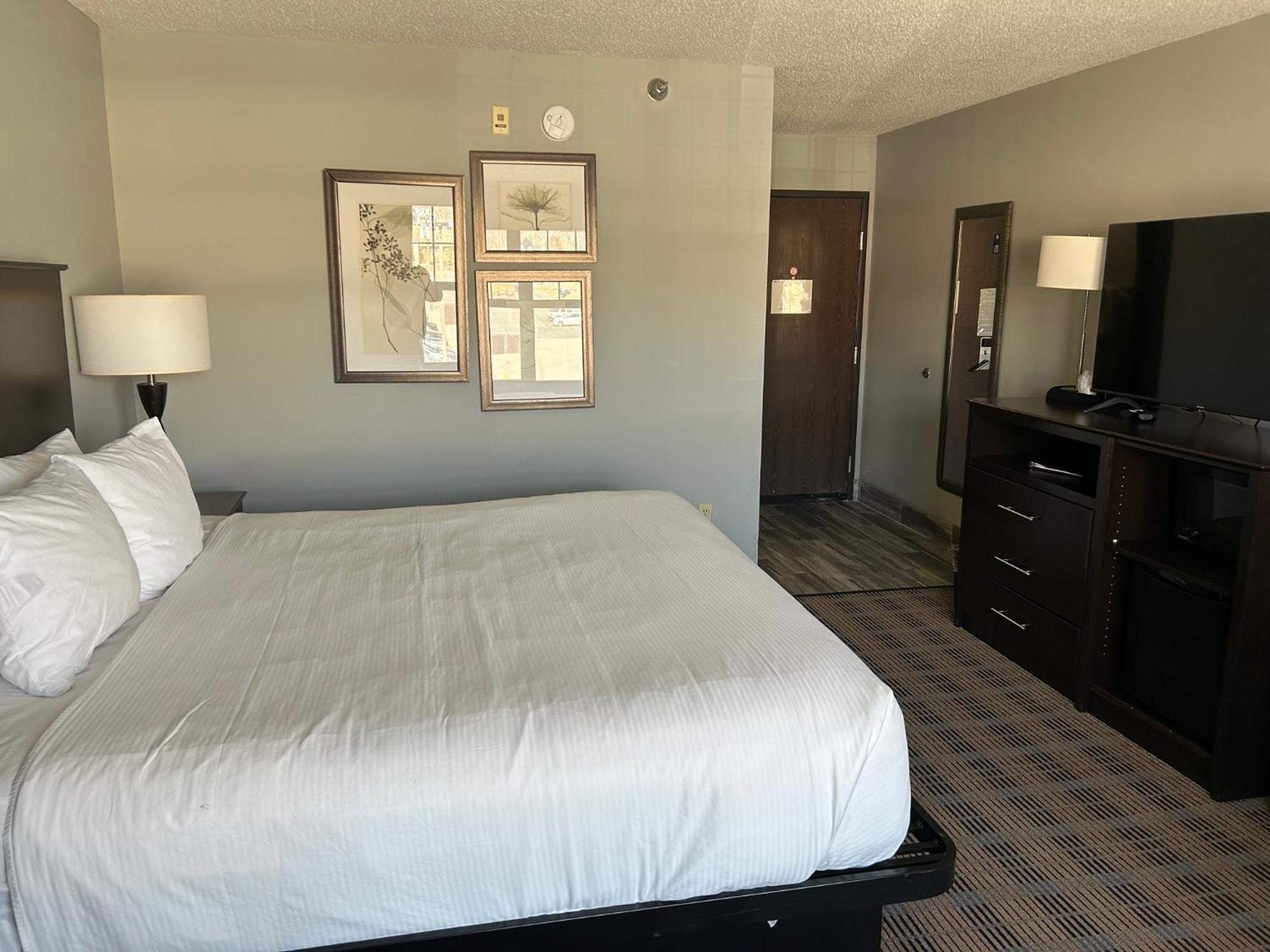 Queen Room Pet Friendly or Non-Smoking