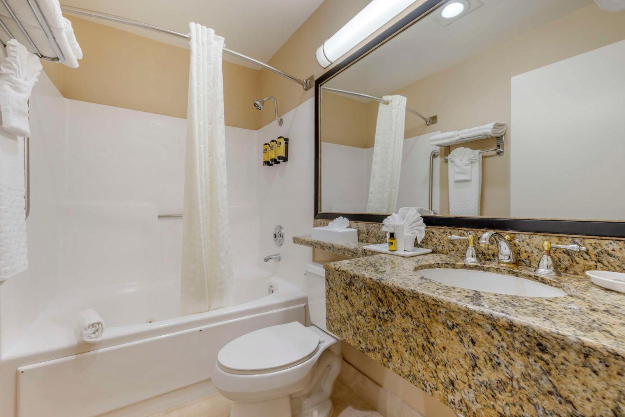 One-Bedroom King Suite with Sofa Bed and Balcony - Non-Smoking