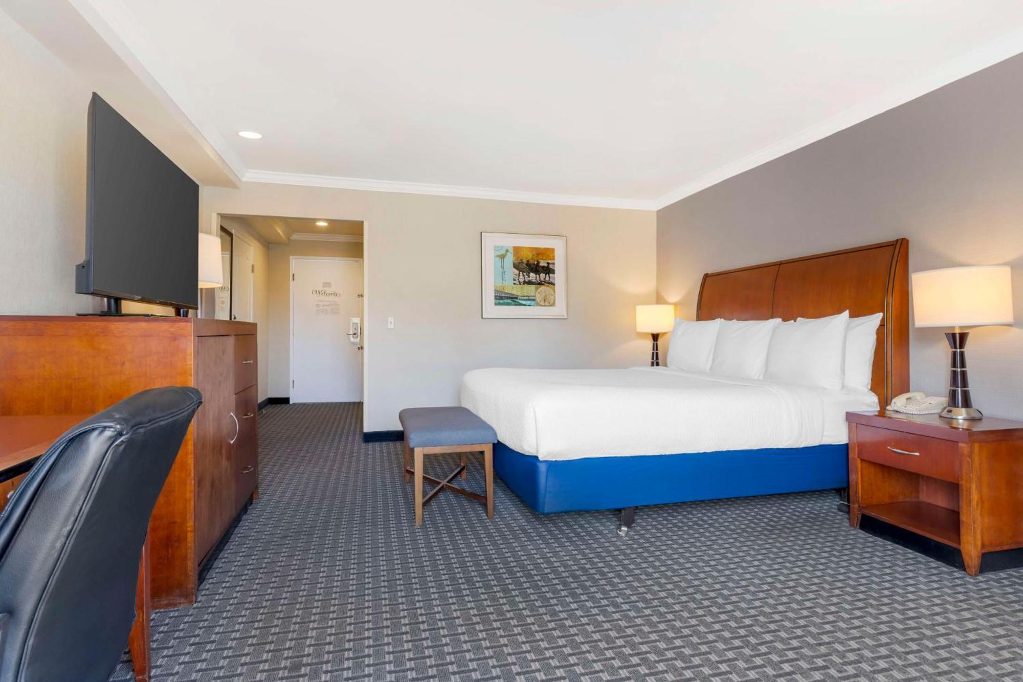 Large King Room Roll Shower View Disability Access or Non-Smoking