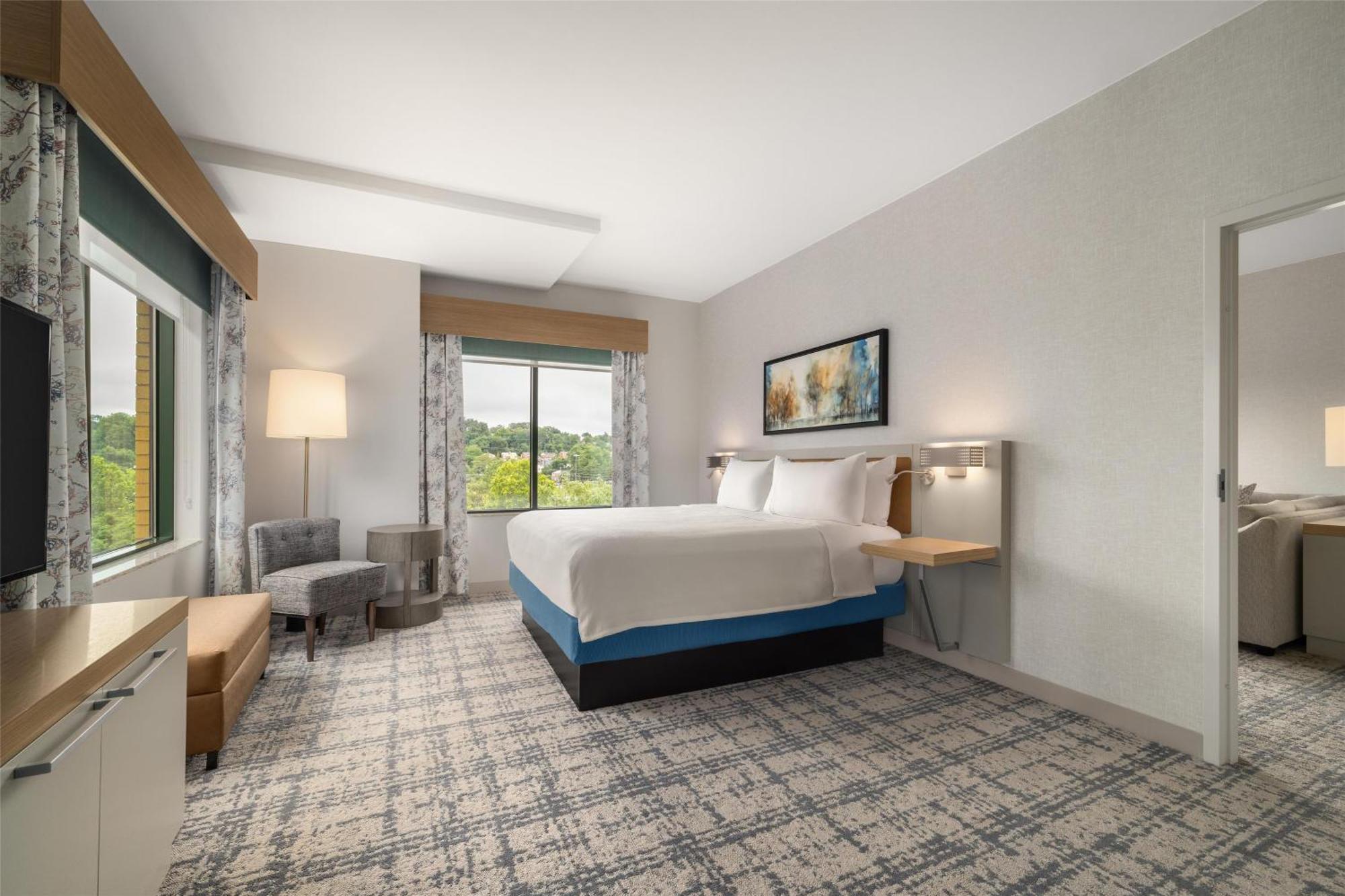 One-Bedroom King Suite
