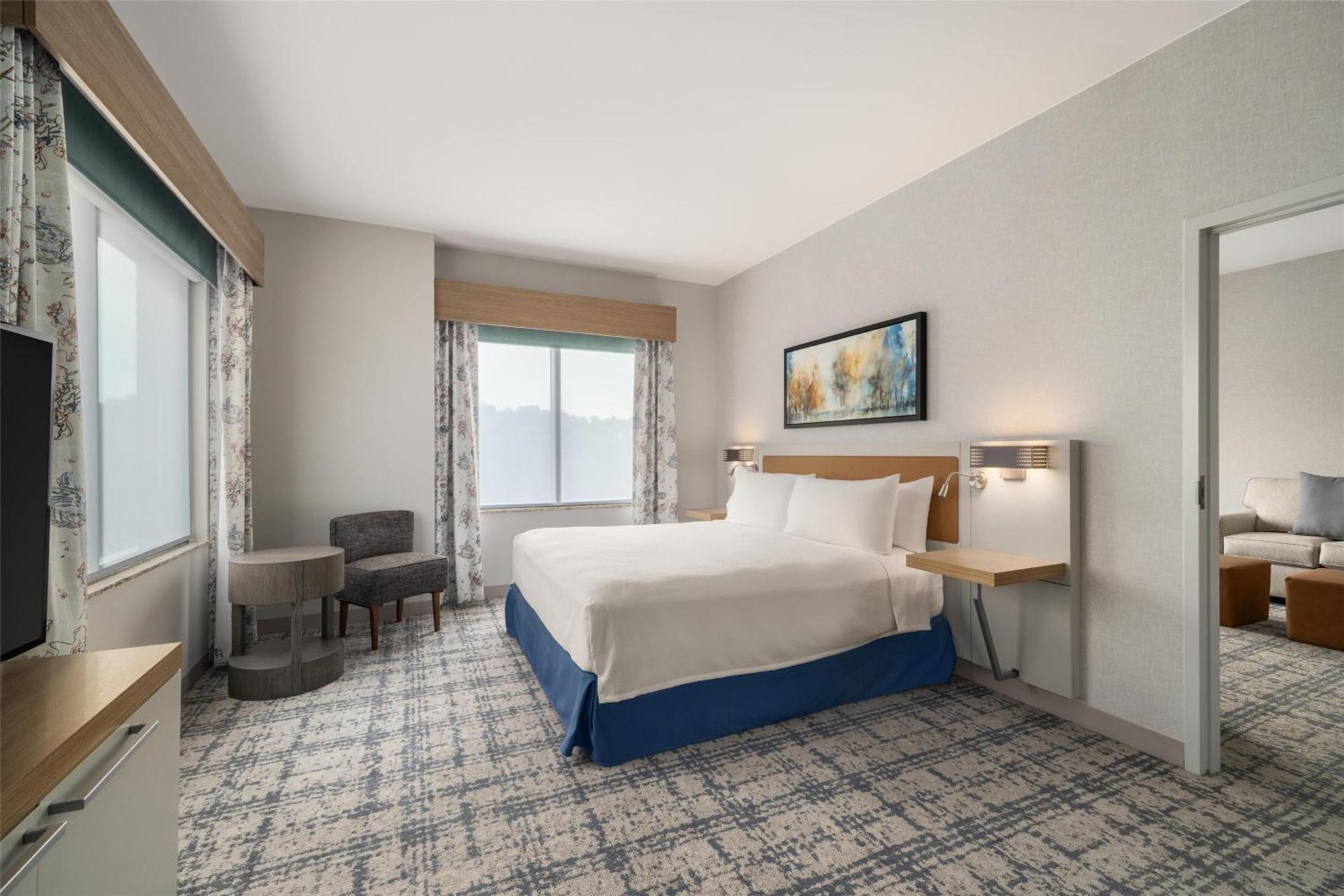 One-Bedroom King Suite