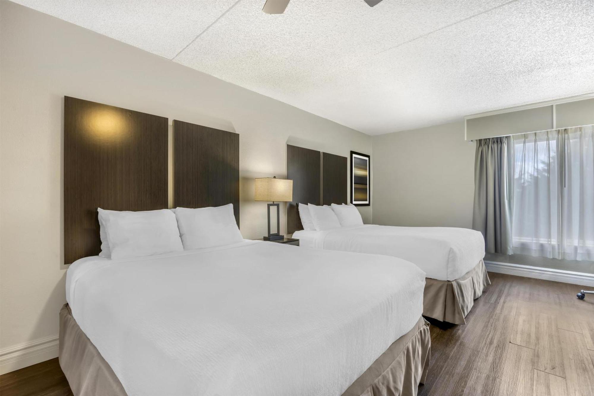 Non-Pet 2 Queen Beds,1731446400:JPEG