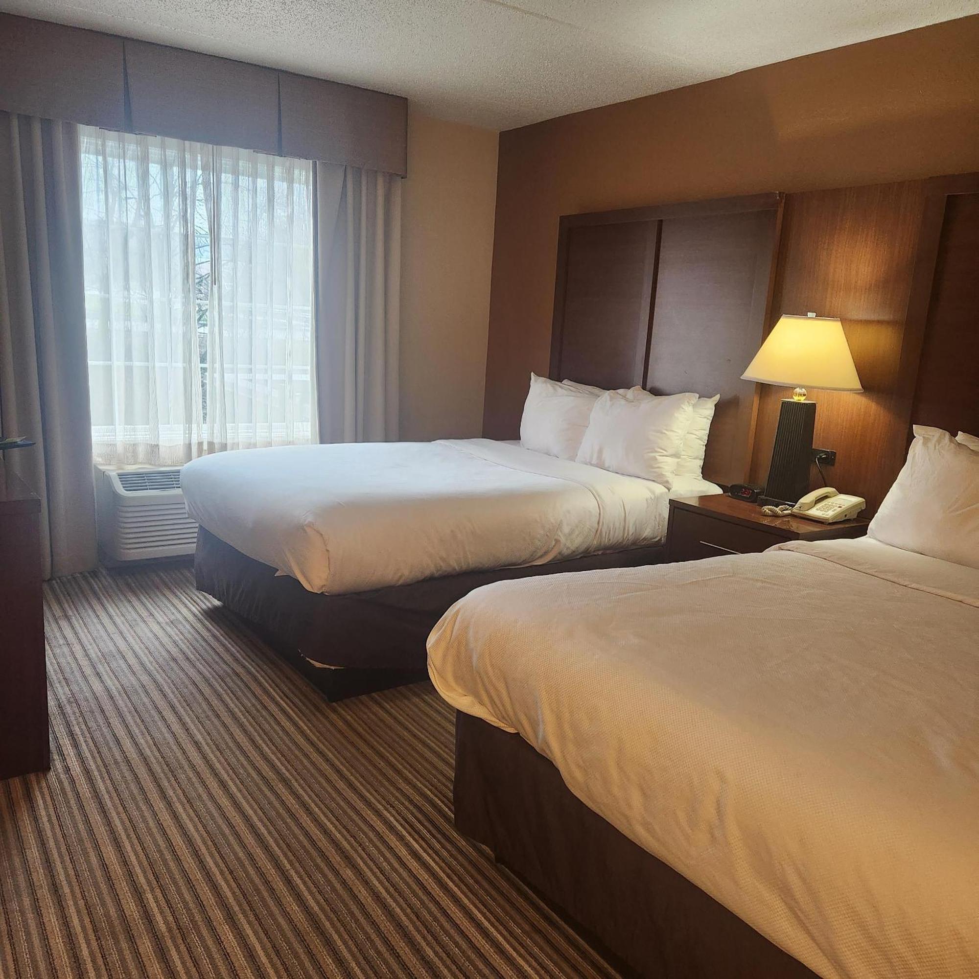 Family Room with One Queen Bed and Two Double Beds - Non-Smoking