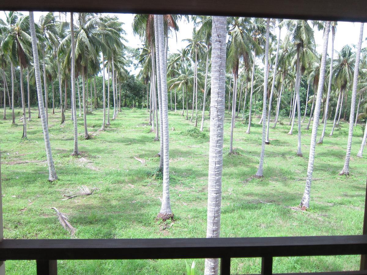 Superior Twin Room with Garden View