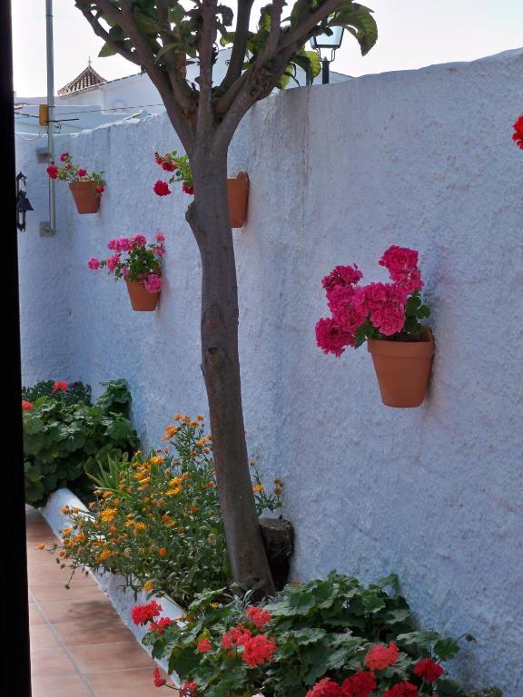 Appartement 3 Chambres (6-8 Adultes)
