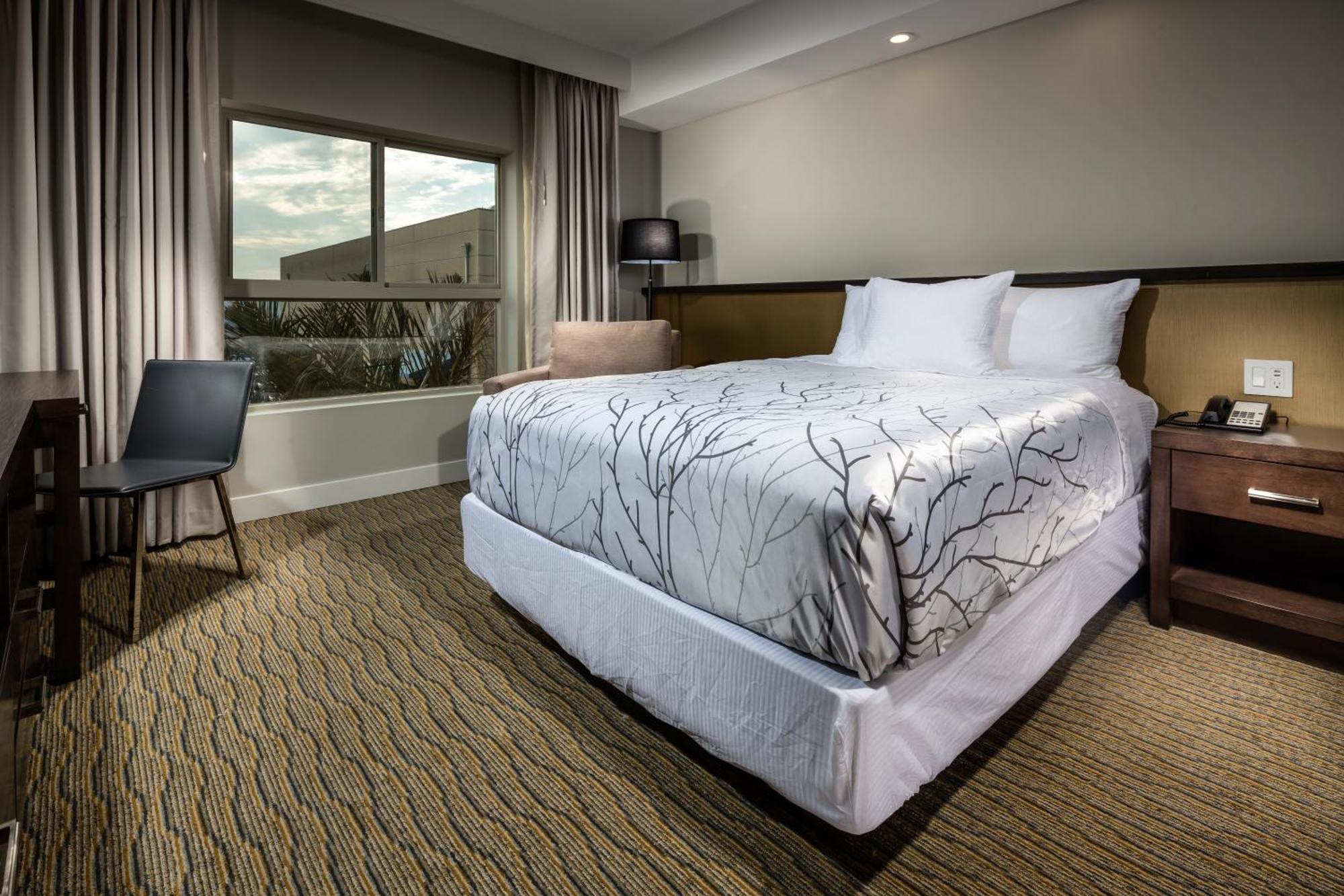 Standard Queen Room