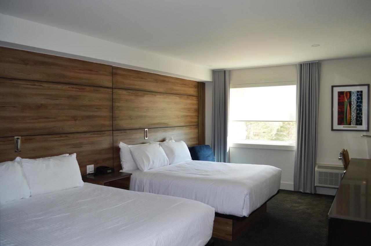 Premium Room with Two Queen Beds - No Pets,1347545393:JPEG