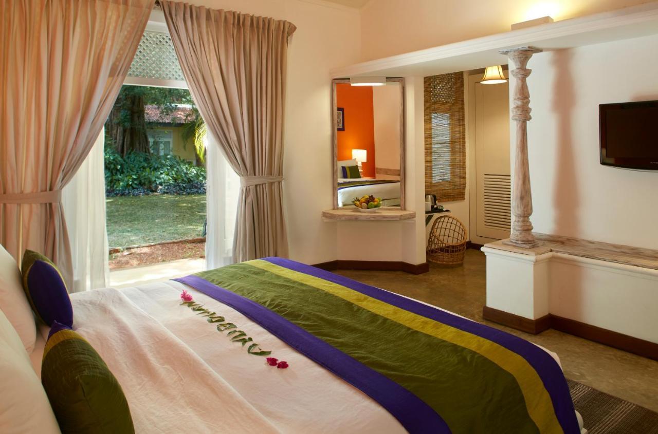 Superior King Room with 25% off on Buffet Dinner,831069128:JPEG