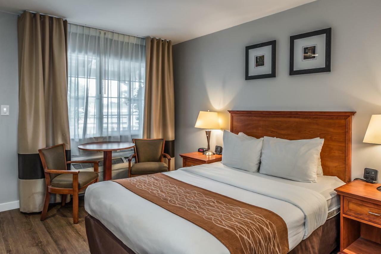 Standard Room with One Queen Bed - Non-Smoking,1211047390:JPEG