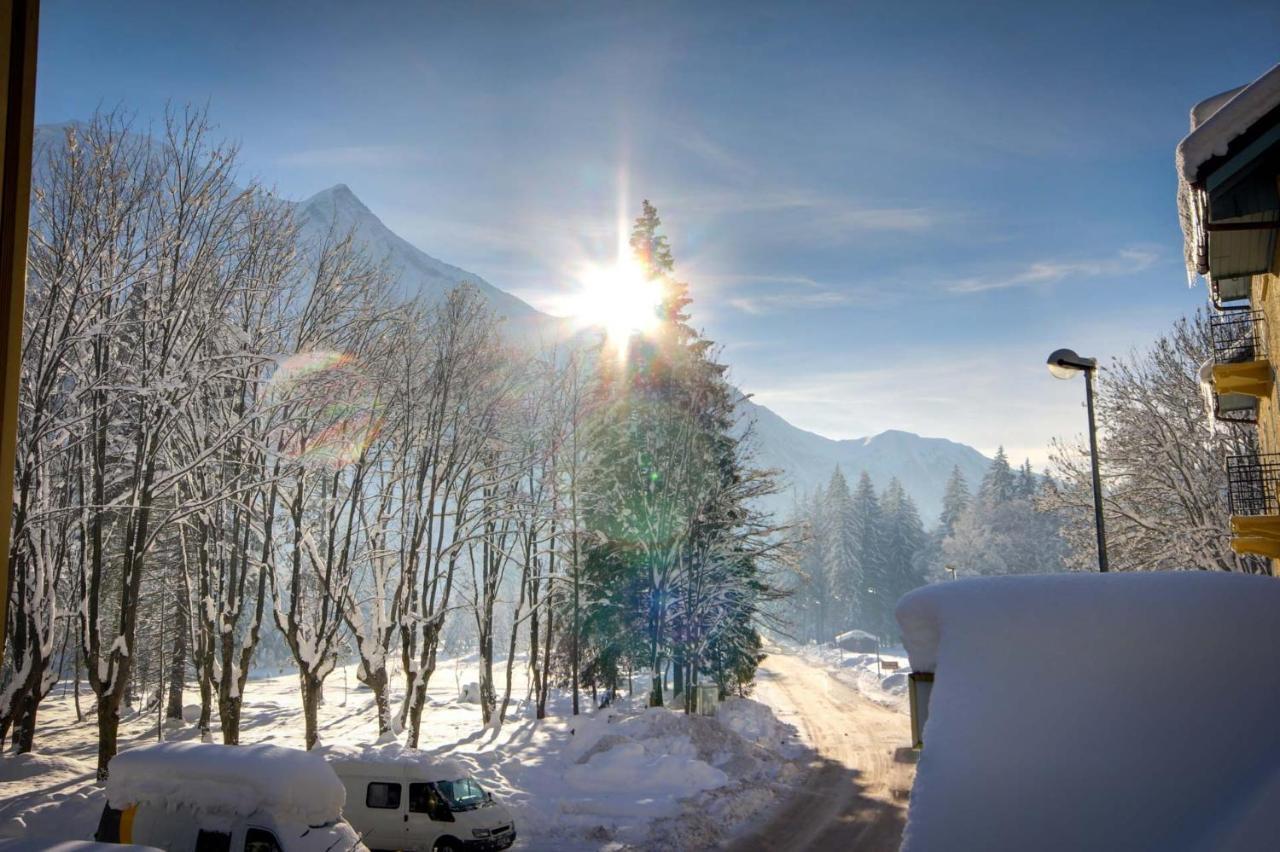 Double or Twin Room Mountain View