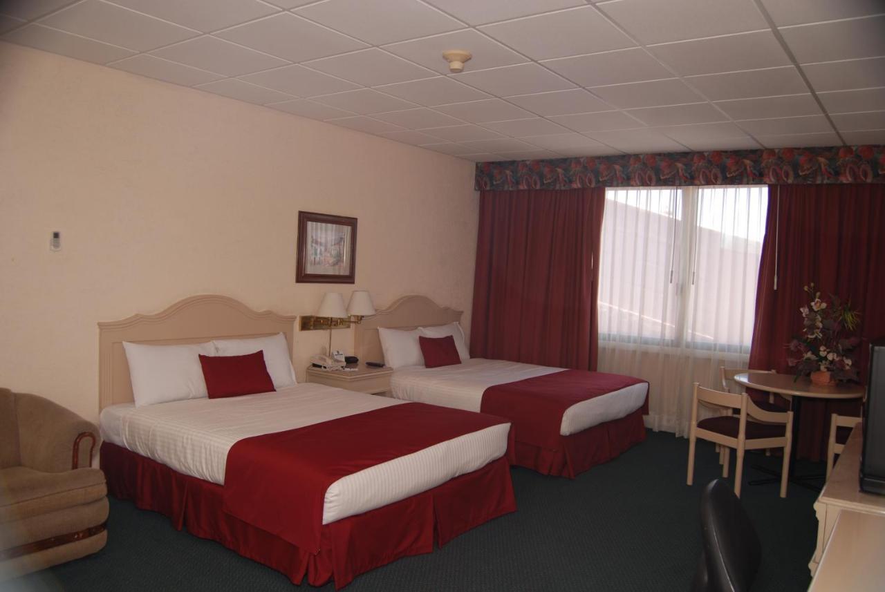 Triple Room with City View - Non-Smoking