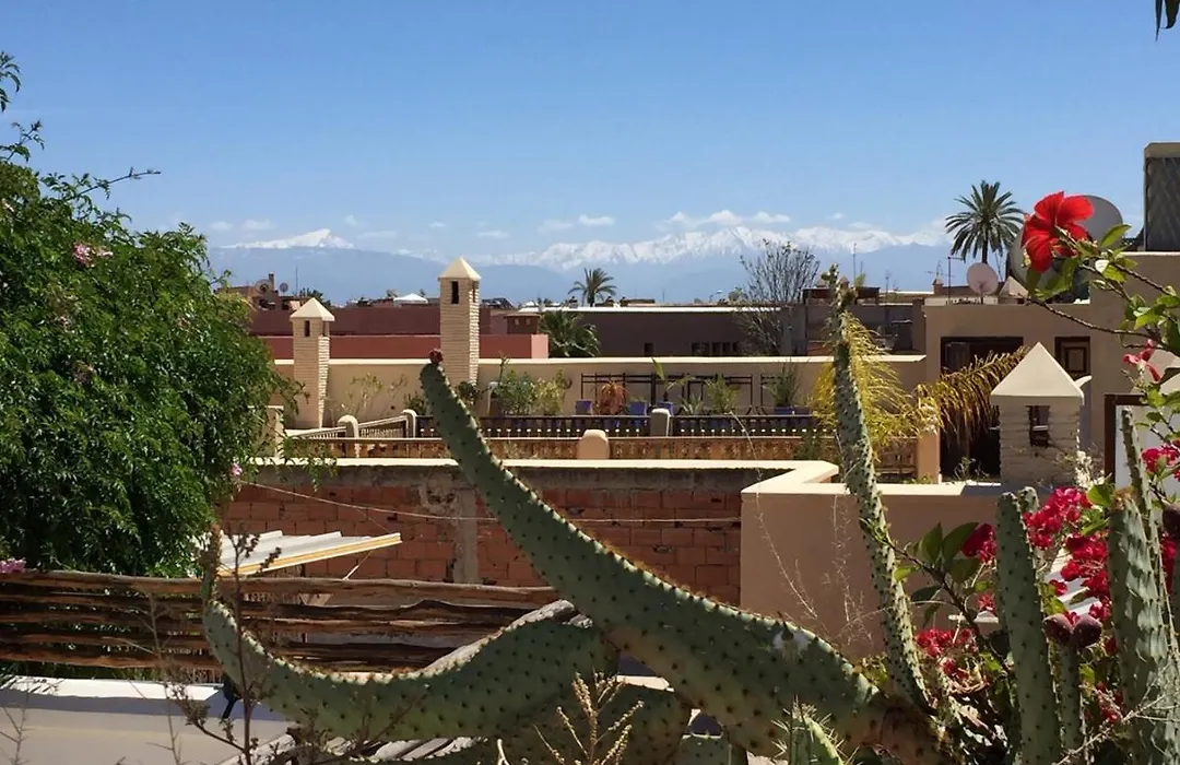 Riad De Vinci & Spa-1