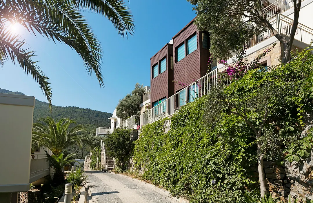 Duja Bodrum-1