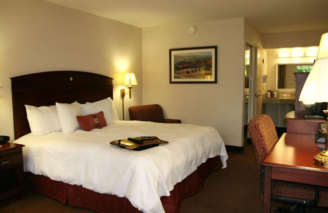 Hampton Inn Dalton-1