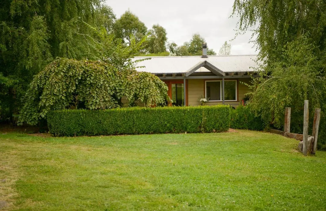 Borrodell Vineyard-1