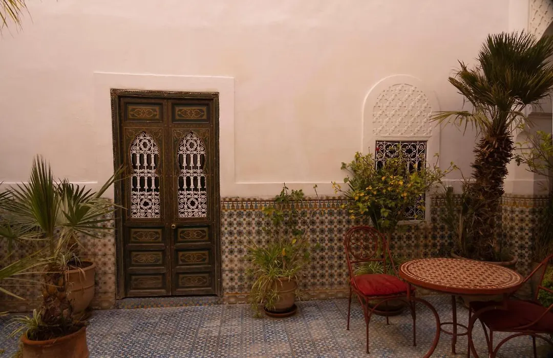 Riad Ifoulki-1