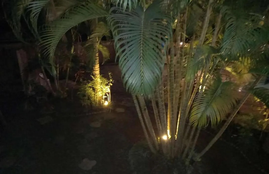 Oasis Palms Hotel-1