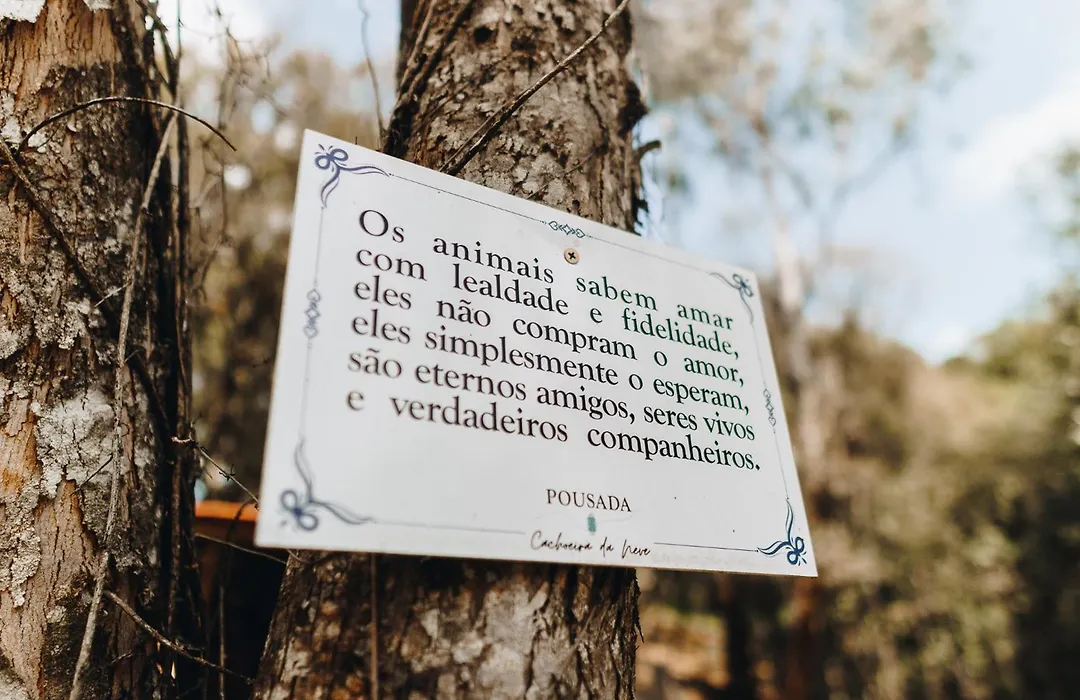 Floresta Secreta- Pousada Cachoeira da Neve-1
