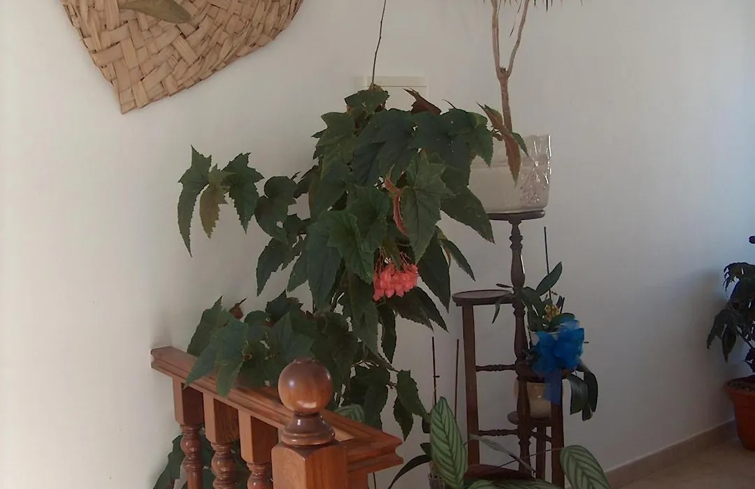 Guesthouse A Lareira-1