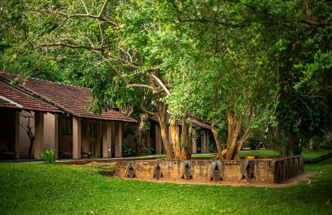 Sigiriya Village-1