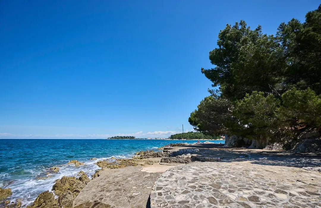 Villa Galijot Plava Laguna-1