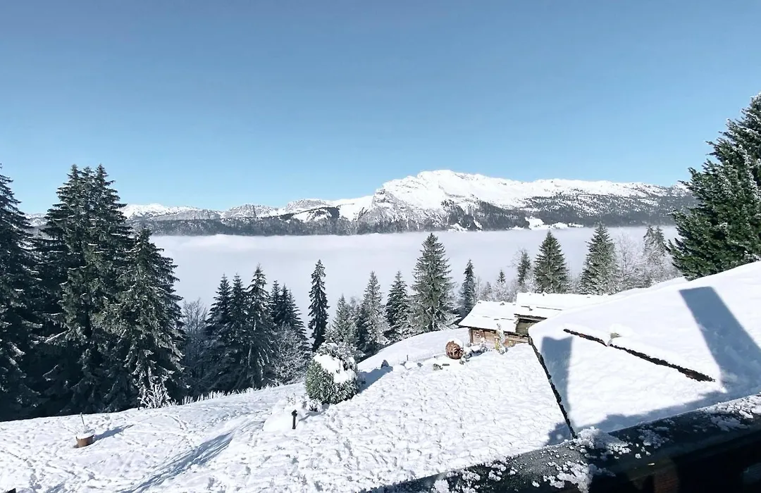 La Ferme des Vonezins-1