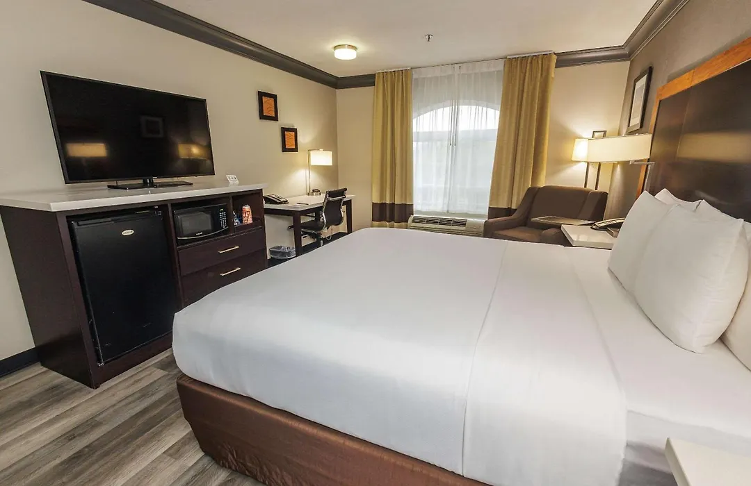 Comfort Inn & Suites Near Universal - N Hollywood - Burbank-1