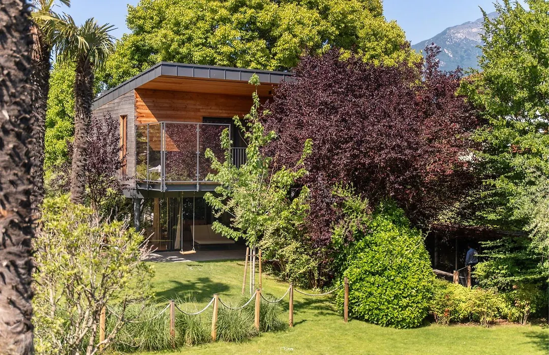 Treelodgy, The Tree House-1