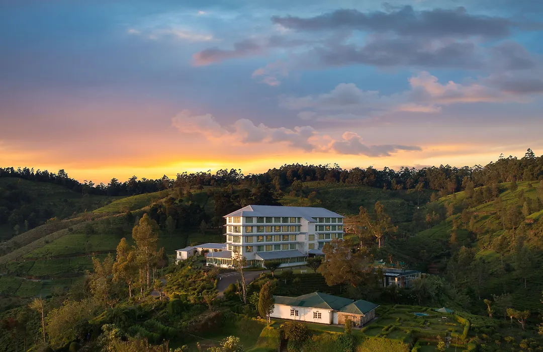Heritance Tea Factory (Adults Only)-1