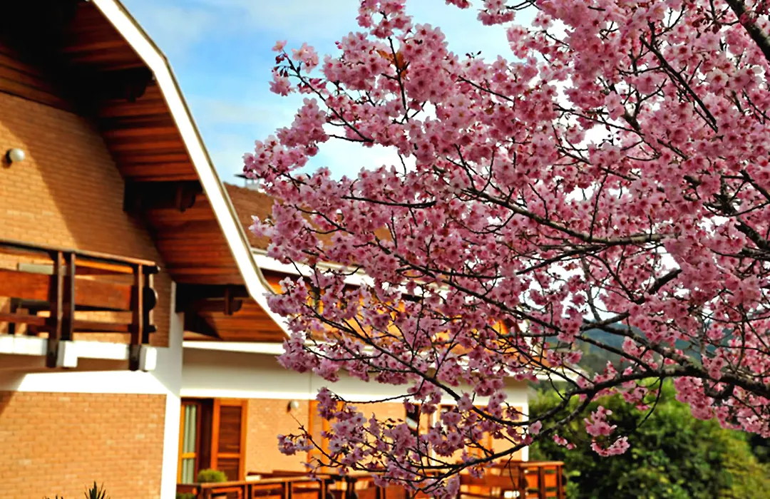 Hotel Matsubara-1