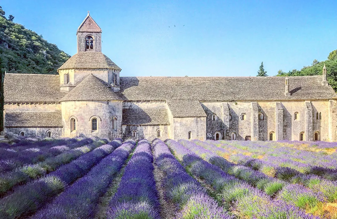 Domaine de La Brave-1