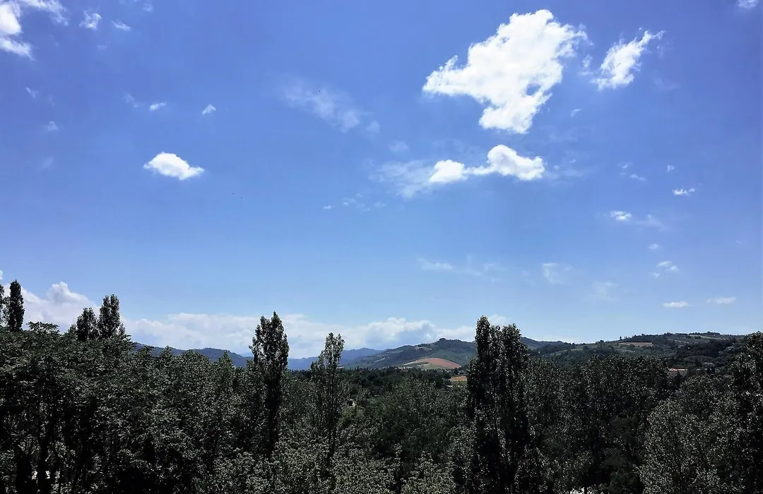 Hotel Belvedere-1
