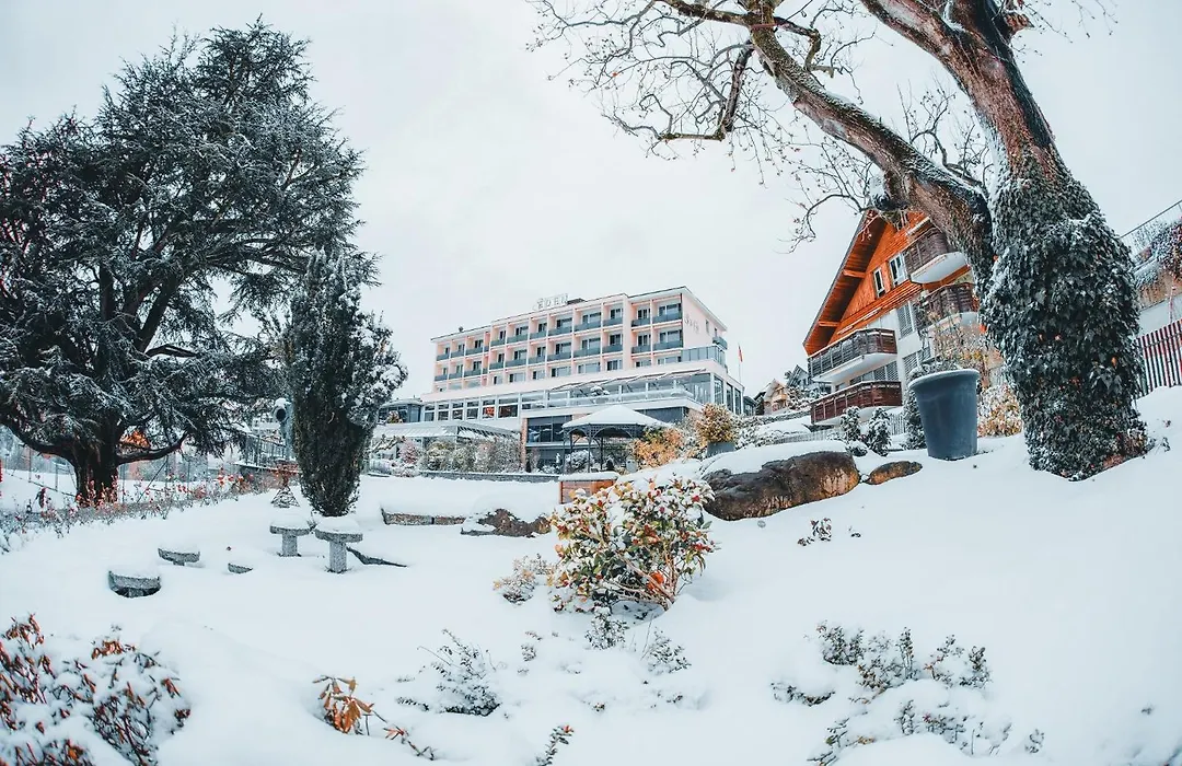 Hotel Eden Spiez-1