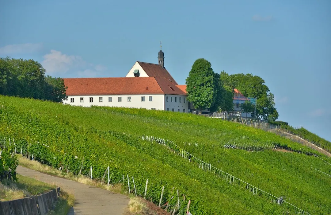 Vogelsburg-1